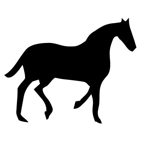 Dressage Horse Iron on Decal